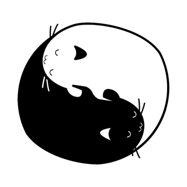 Zoom image Cat yin yang