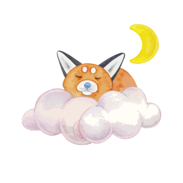 Zoom image Dormir gato nube noche de luna regalo