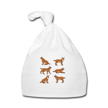 1. Urodziny  - Zakres ryś