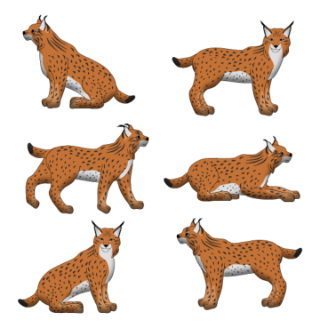 Zoom image Zakres ryś