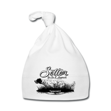 1. Compleanno  - setter_laverack