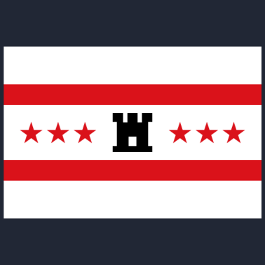 Zoom image Drenthe vlag
