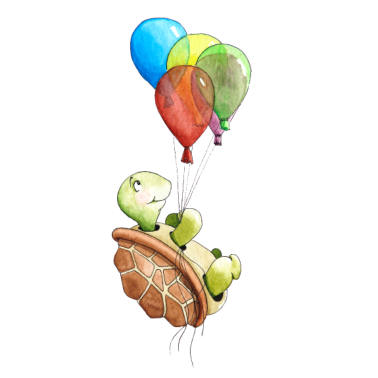 Zoom image skildpadde