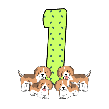 Zoom image 1. Geburtstag