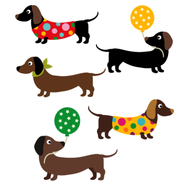 Zoom image Summer Dachshund