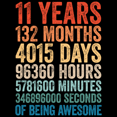 Zoom image 11th birthday 11 years retro gift vintage