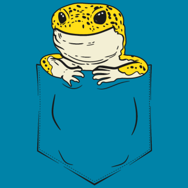 Zoom image Torba gekon lamparci gad jaszczurki gekon lamparci