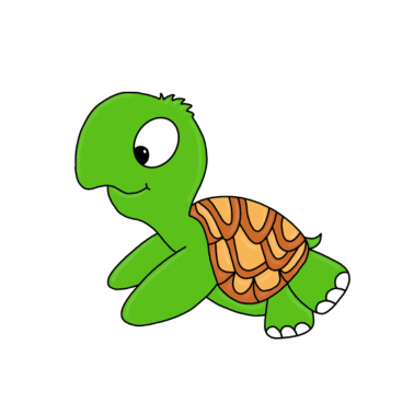 Zoom image TURTLE - TURTLE