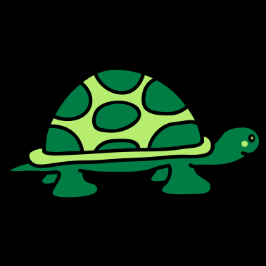 Zoom image turtle