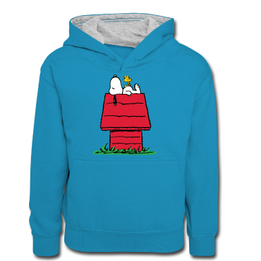 Compleanno dei bambini  - Peanuts Snoopy e la cuccia del cane