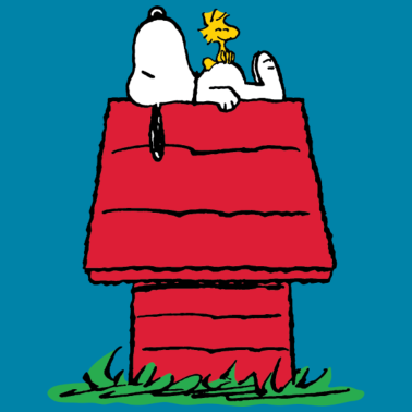 Zoom image Peanuts Snoopy e la cuccia del cane