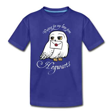 Children&#039;s birthday  - Harry Potter Hedwig Letter