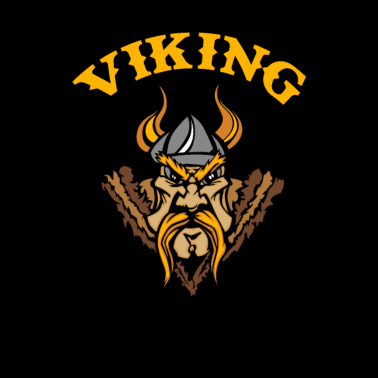 Zoom image Viking | viking