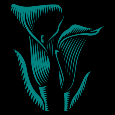 Zoom image Tulip, gift flower plant flora garden