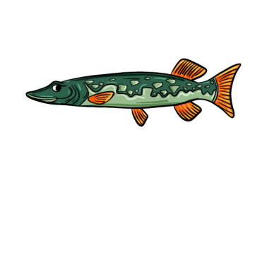 Zoom image Fiskehängare gädda fisk