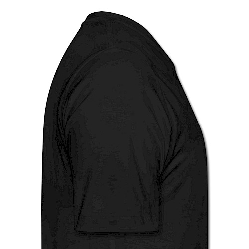 Men's Organic T-Shirt Rechts black
