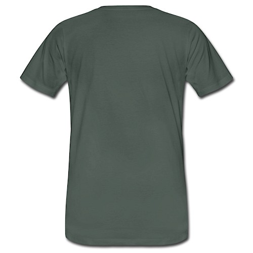 Men's Organic T-Shirt Hinten grey-green