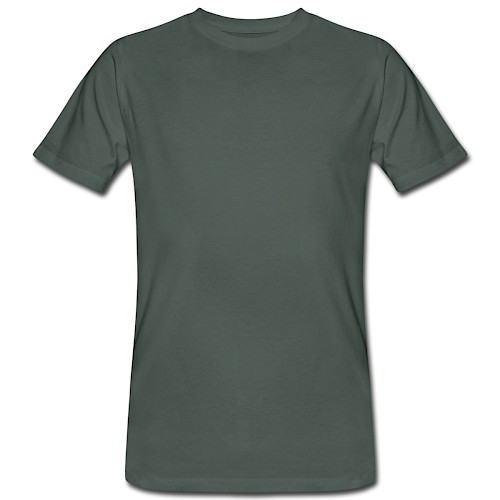 Men's Organic T-Shirt Vorne grey-green