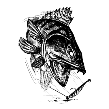 Zoom image NOKIDDING FISHING AGGRO KUHA