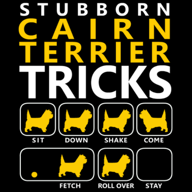 Zoom image Itsepäinen Cairn-terrieri temppuja