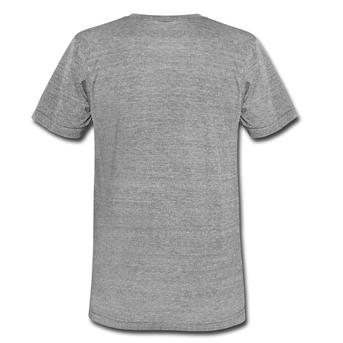 Unisex Tri-Blend T-Shirt by Bella + Canvas Hinten heather grey
