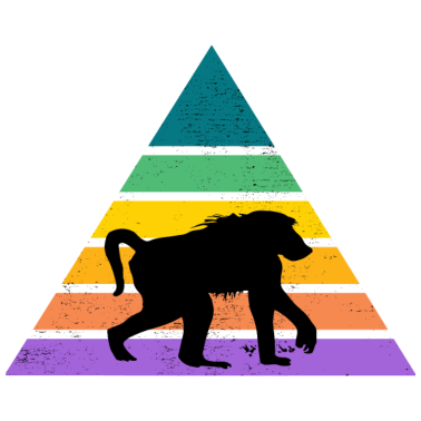 Zoom image Affe Regenbogen