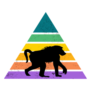 Zoom image Affe Regenbogen