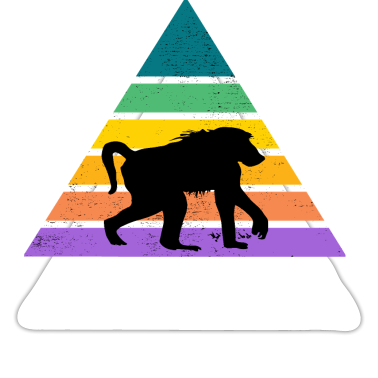 Anniversaire des enfants  - Affe Regenbogen