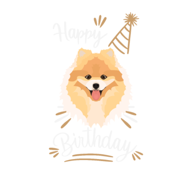 Zoom image Geburtstag Geschenk Zwergspitz