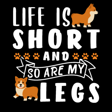 Zoom image Prezent na nogi Corgi