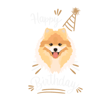 Zoom image Geburtstag Geschenk Zwergspitz