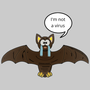 Zoom image chauve souris coronavirus !