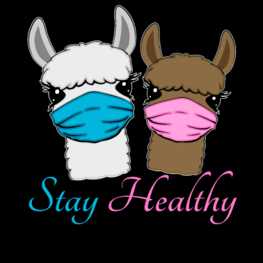 Zoom image Lama's met mondbeschermers tegen het Corona-virus