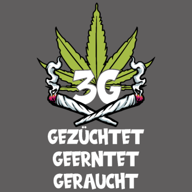 Zoom image CANNABIS MARIHUANA JOINT KIFFEN KIFFER 3G REGEL