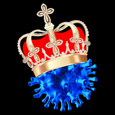 Zoom image CoronaVirus, corona corona corona sul virus