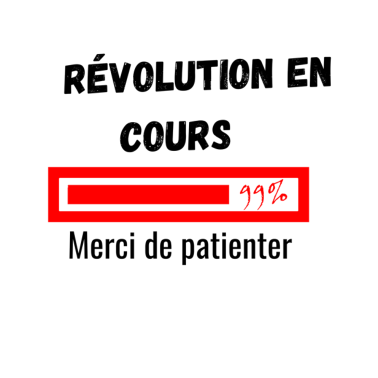 Zoom image Révolution - corona- mensonge