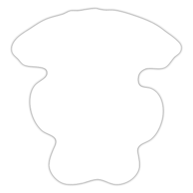 Corona  - Pawession pysyy koiran henkilön myrkkynä