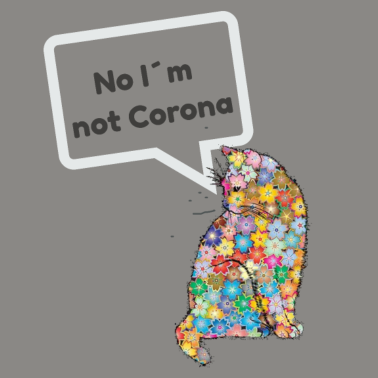 Zoom image Ei, en ole Corona