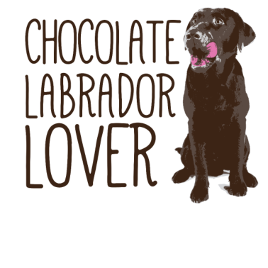 Zoom image Czekoladowy Labrador