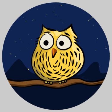 Zoom image Cute owl at night