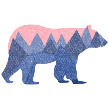 Zoom image mountain bear