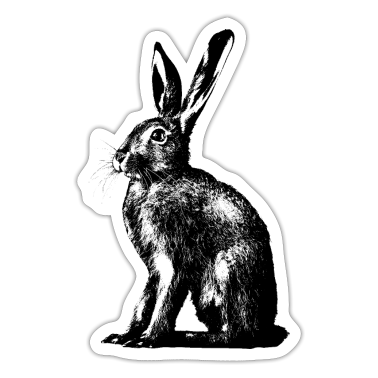 18 urodziny  - Zając polowy / zając europejski / królik