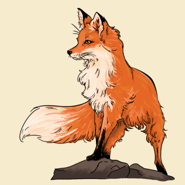 Zoom image Piękny lis