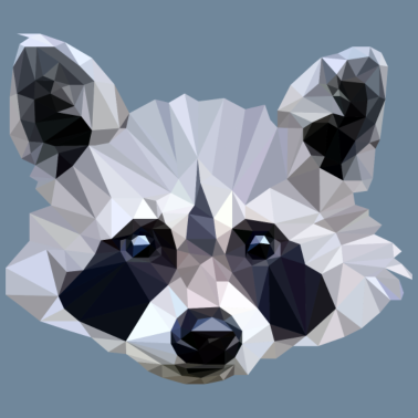 Zoom image Słodki szop pracz