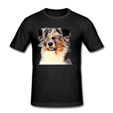 18° compleanno  - Pastore australiano