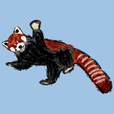 Zoom image Roter Panda / Red Panda Design III