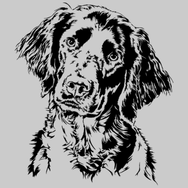 Zoom image GREAT MÜNSTERLÄNDER Hound Dog Wilsigns Hounds