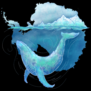 Zoom image Whale Sanctuary