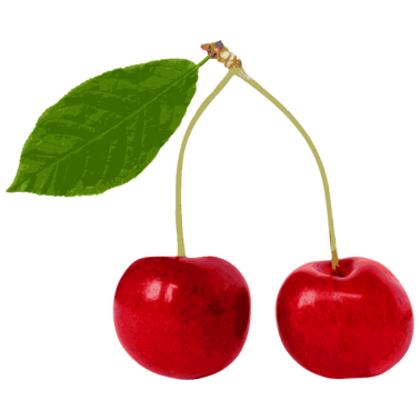 Zoom image Kirsebær kirsebærfrugter frugter sommer sommerligt