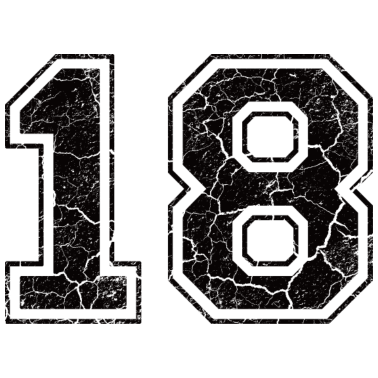 Zoom image Paie 18 in Used Look